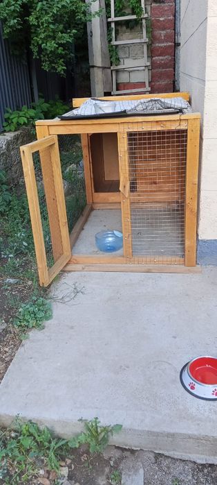 Продам щенка лабрадора