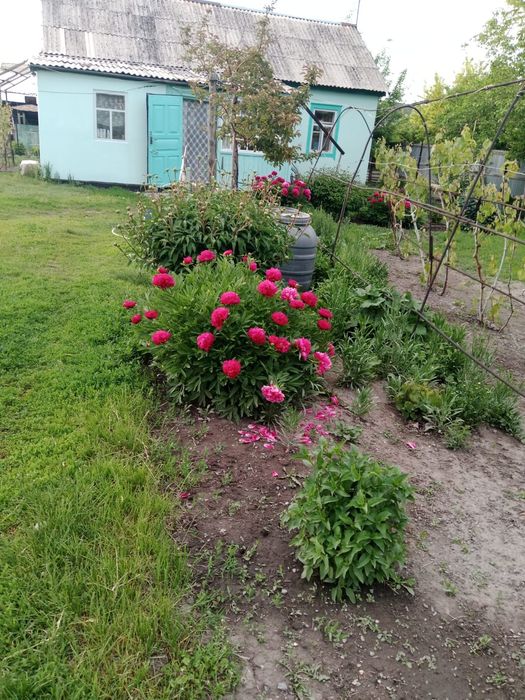 Обмен недвижимости