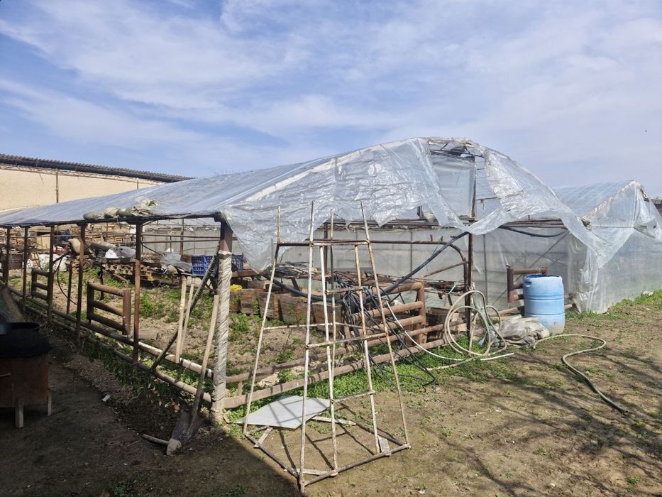 teplitsa parnik 3 sotix