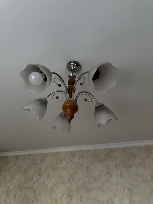 2 рабочие люстры