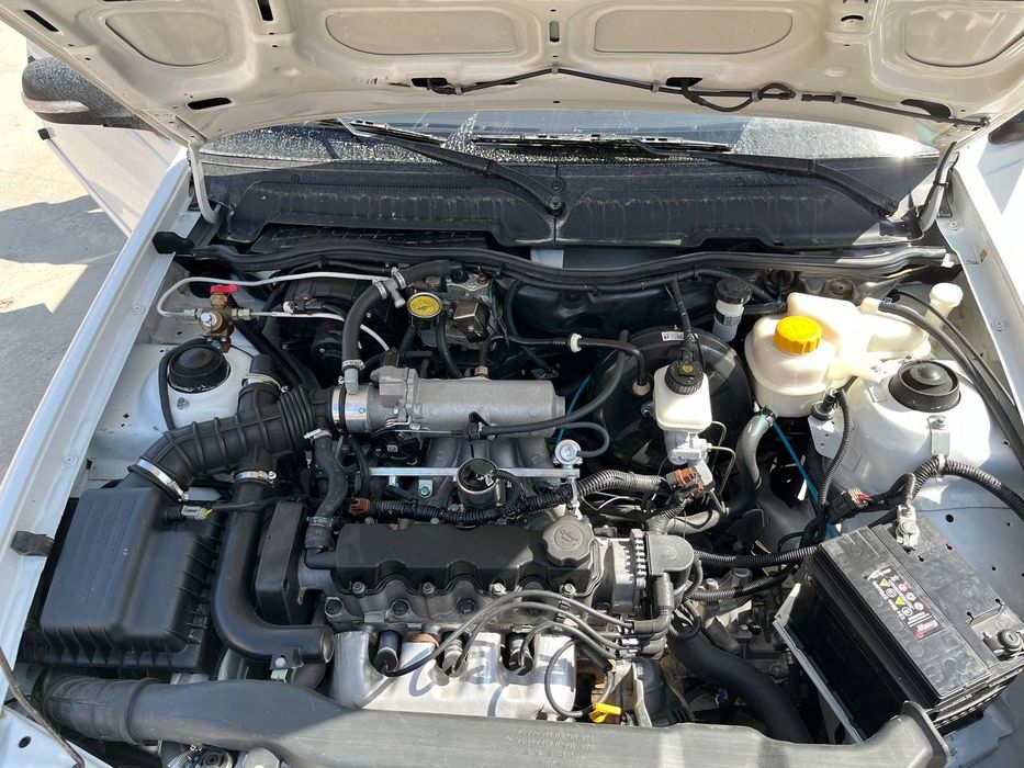 Nelksiya 2  Motor 1.5 Prostoy