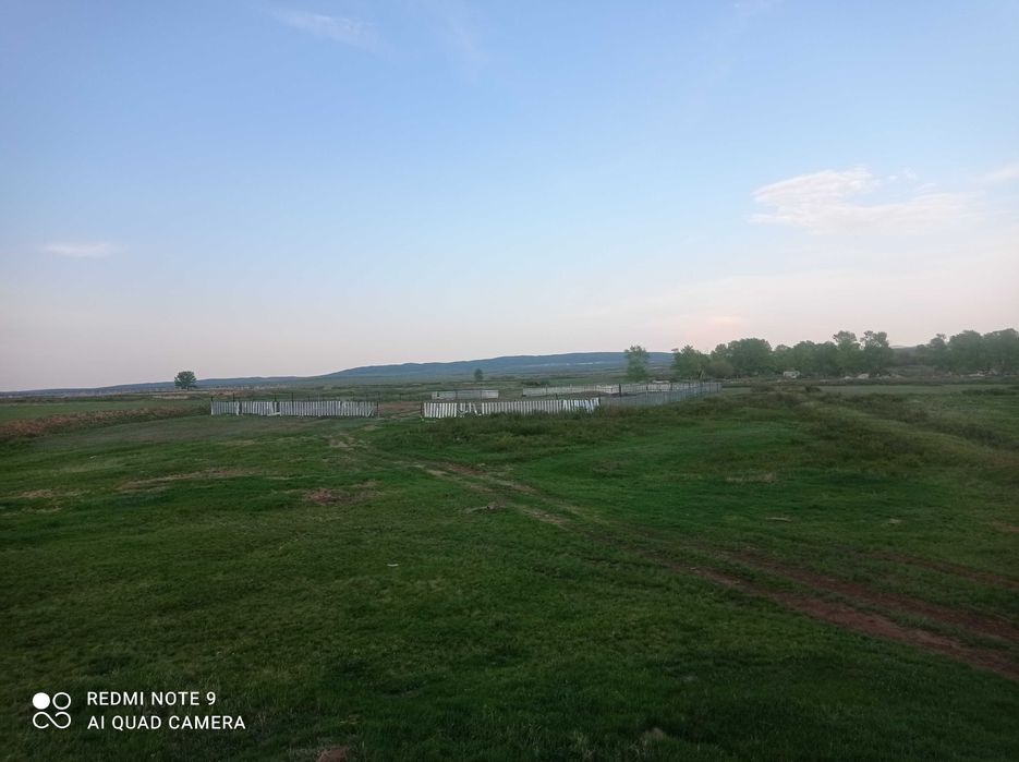 крестьянское хозяйство