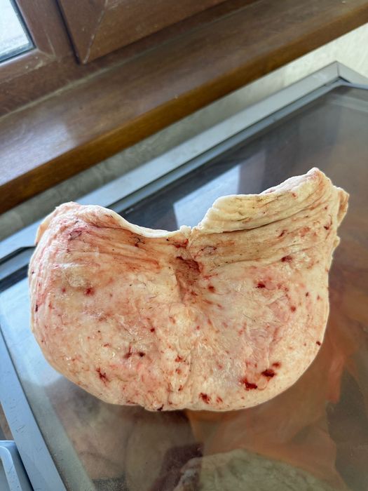 Үлкен кеуделі жас, әдемі қыздар бейнеленген порно