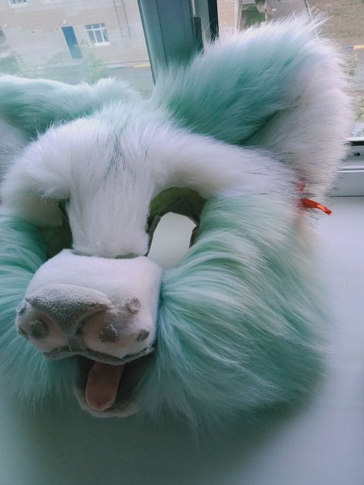 Продам фурсьют кота