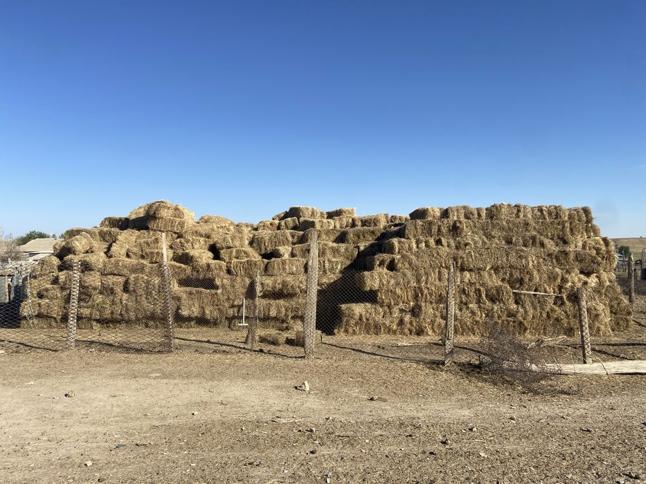 Фазенда қора сатылады