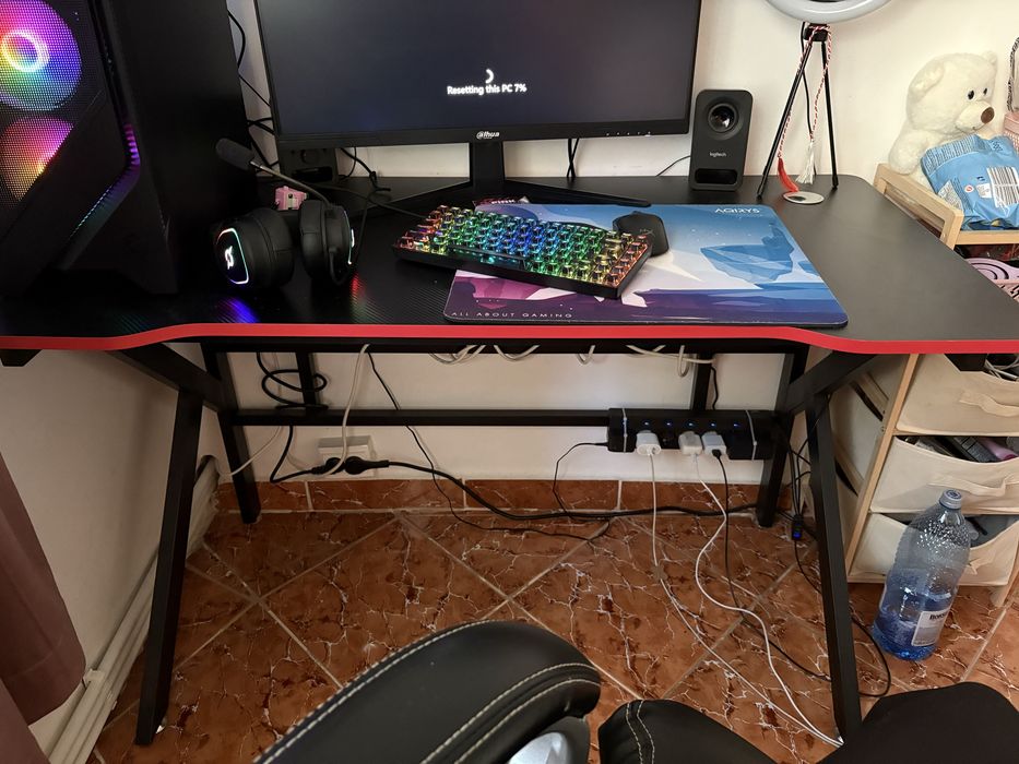 Birou Gaming ingrijit