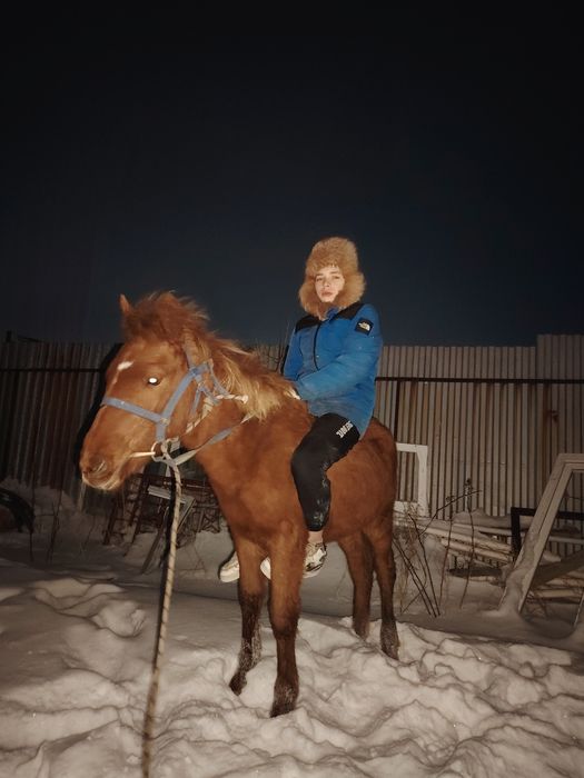 Продам Тай мальчика и девочку.