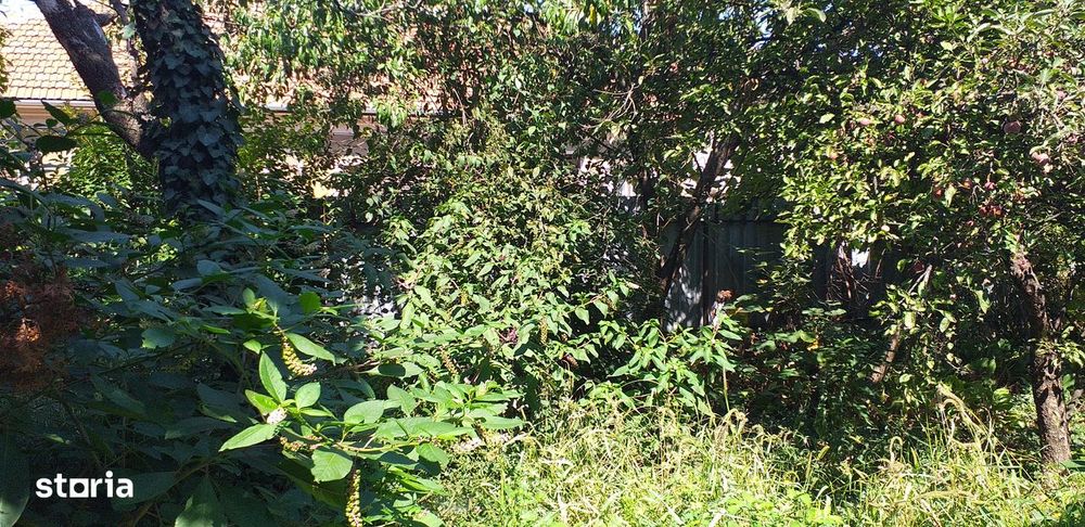 Casă de vânzare cu 3 camere, teren 514 mp, în Oradea