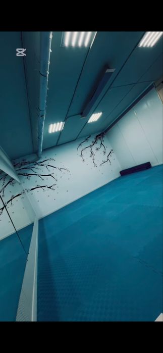 Аренда спортзала