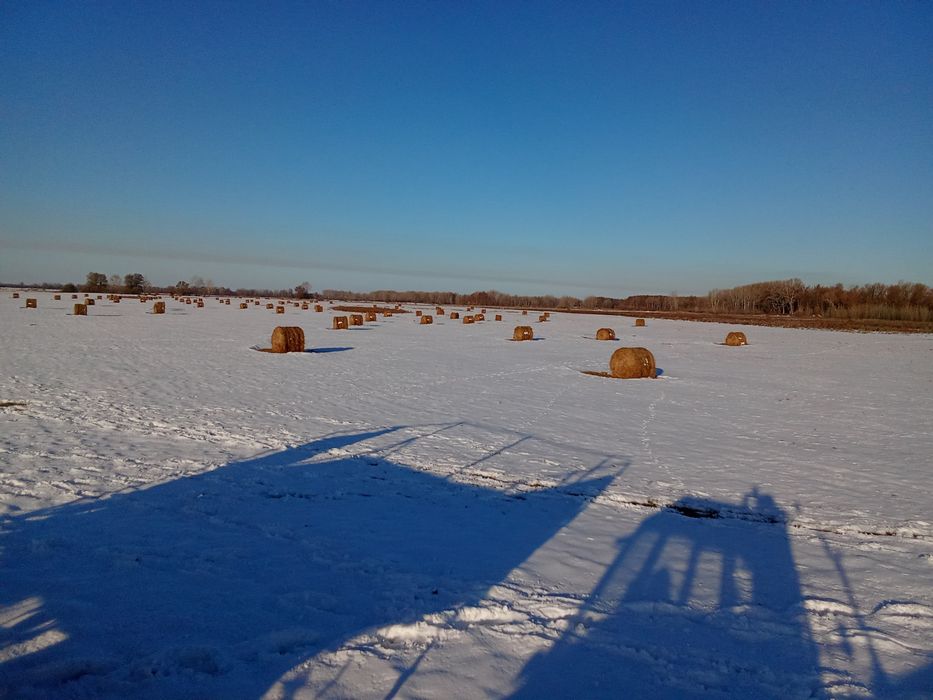 Сено шоп рулон тюк пресс