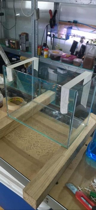 Acvarii și accesorii