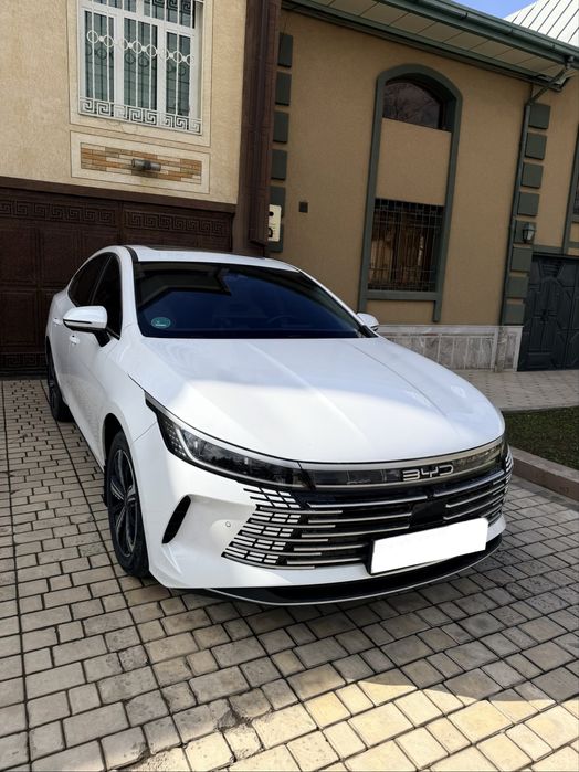 BYD Chazor 120 full крастка тоза