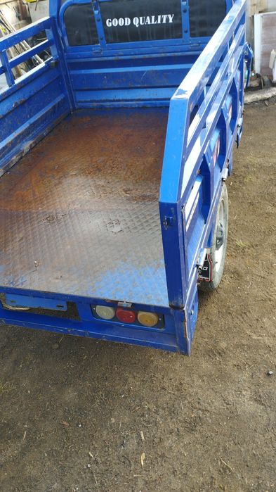 Продам 2 муравья недорого