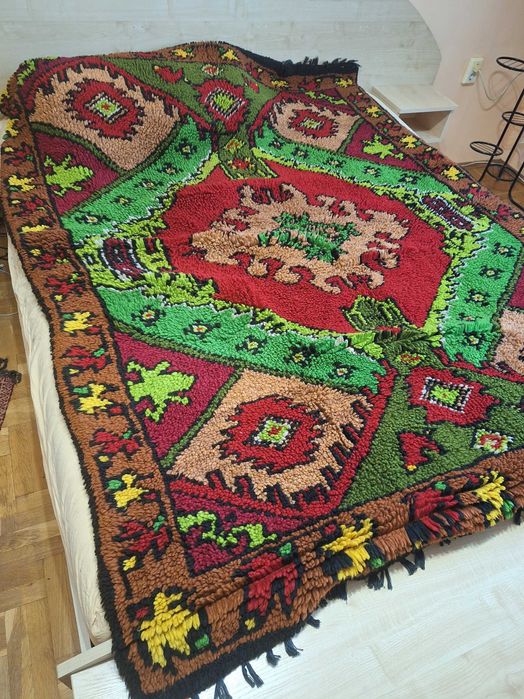 красив котелски китеник