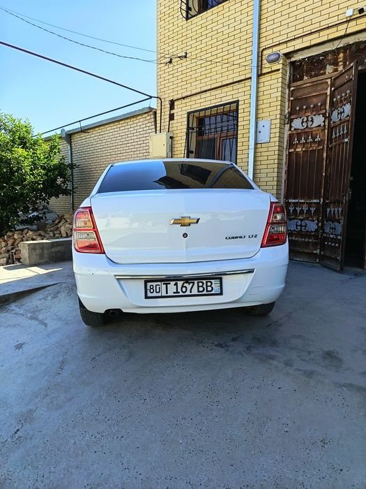Kobilt sotiladi yangi