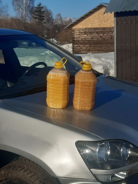 Продам мед с личной пасеки только оптом