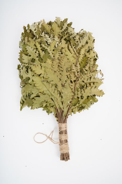 Метлички за сауна дъб/бреза. Веники для бани дуб/берёза. 2025