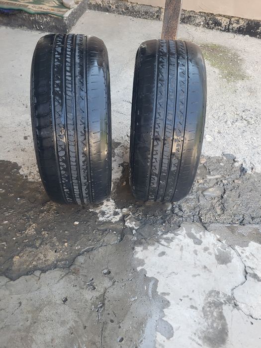 Пакришка 215.55.r.16.