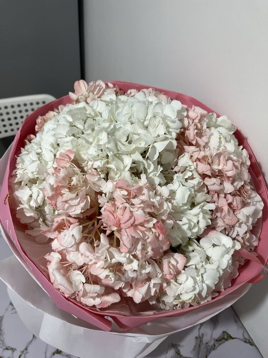 Гортензии 10 штук