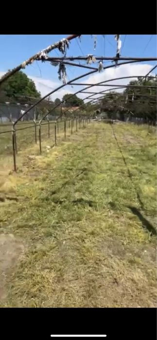 Косене на тревни площи -ПЛОВДИВ