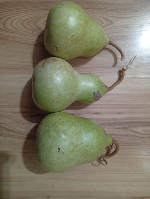 Продавам кратунки