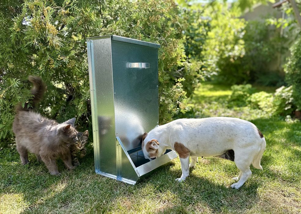 Хранилки за кучета