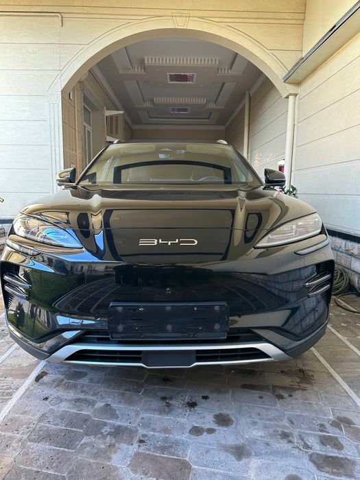 Byd chempion 605km full