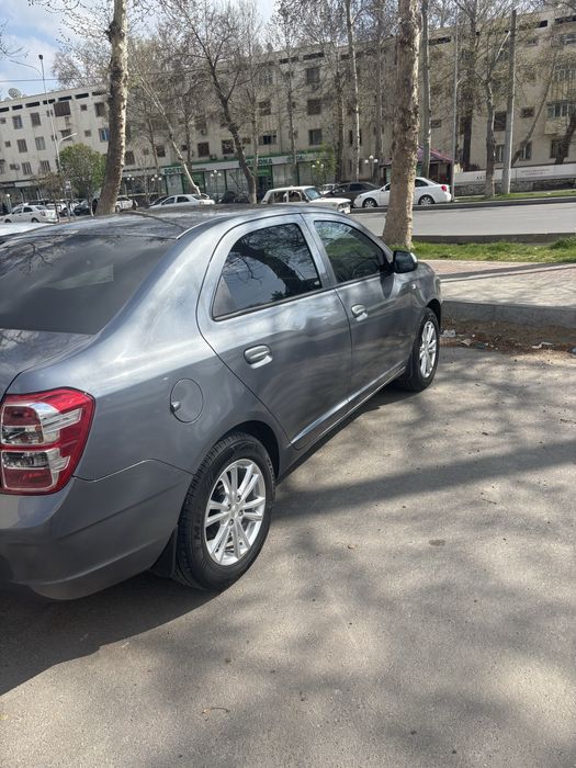 2025 noyabirda olingan 7700 km yurgan