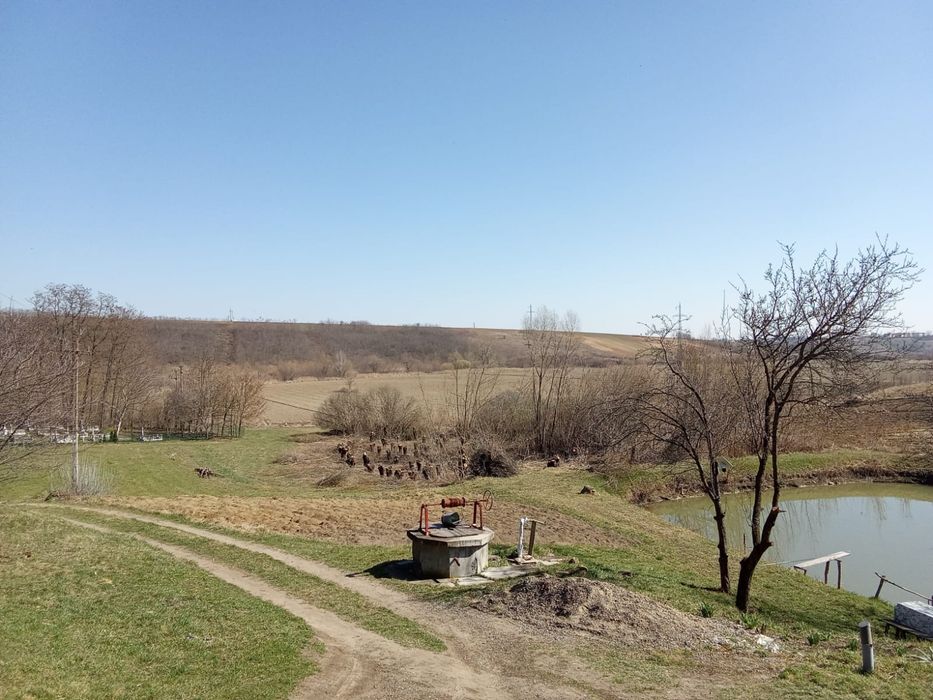 Fermă agricolă de închiriat