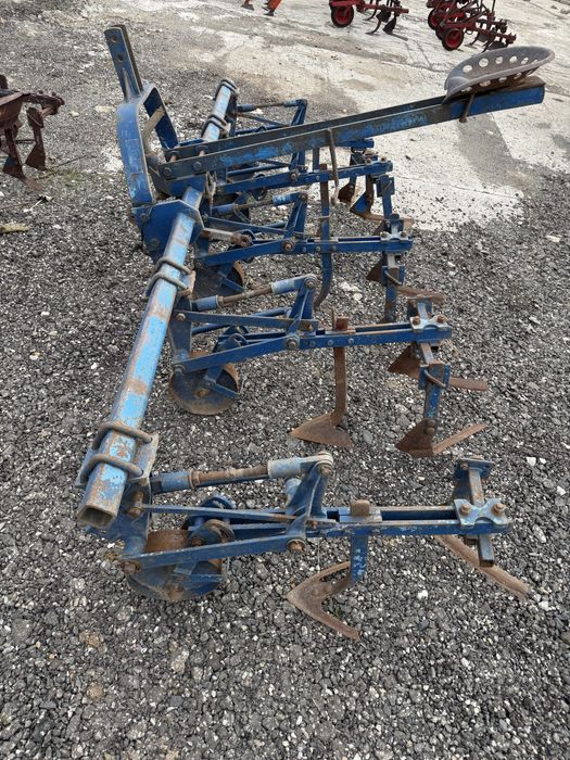 Prasitoare olt serbia 5 sectii