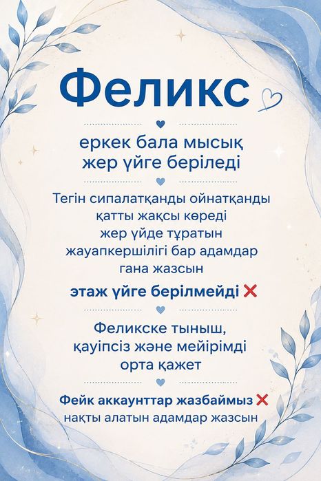 Еркек мысық жер үйге береміз