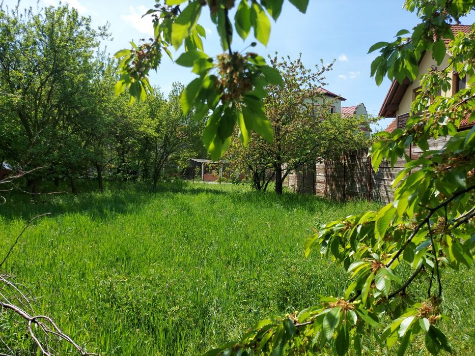Vand in Timisoara teren pentru casa