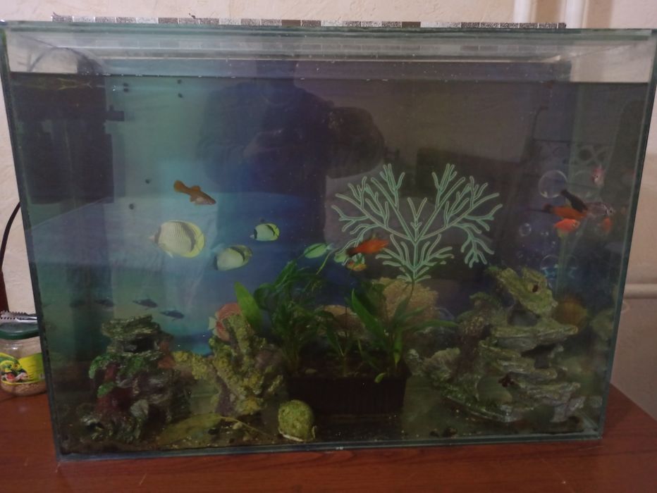Аквариум готовый