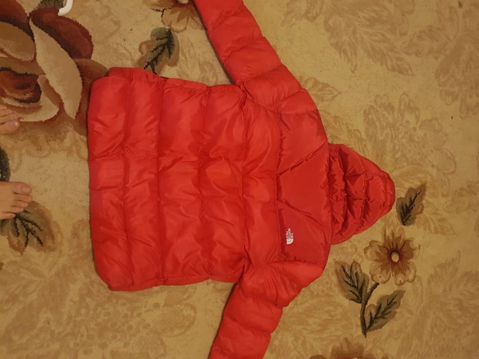 Спортивная куртка “The North Face”