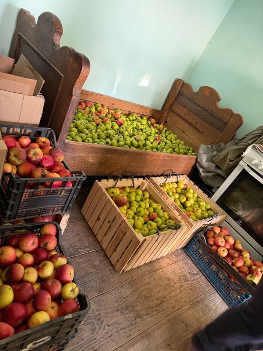 Mere bio rosii si verzi