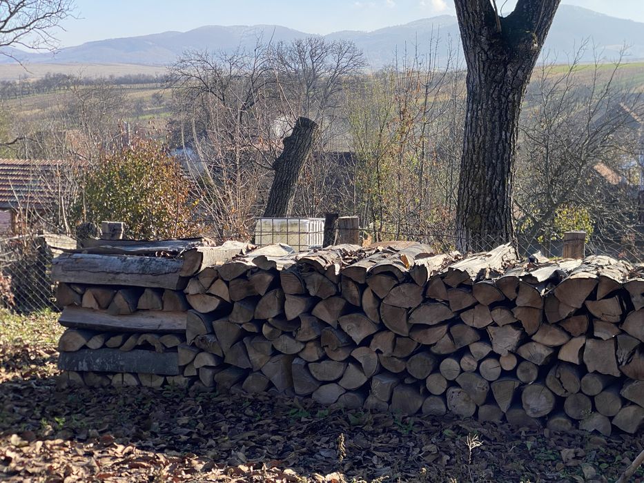 Lemne de fag pentru foc