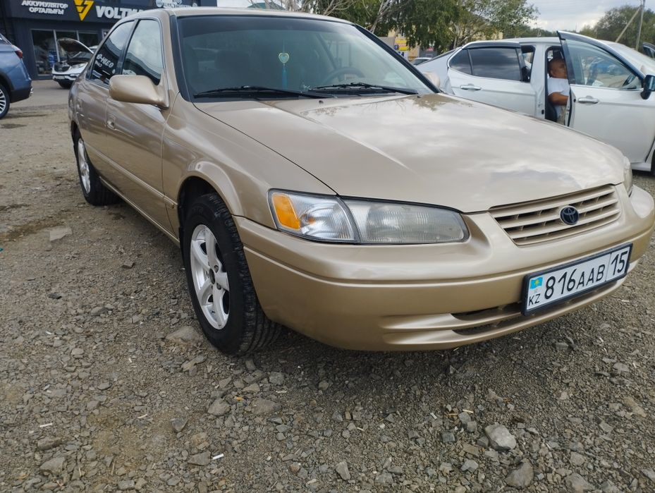 Продам живого Легенду.