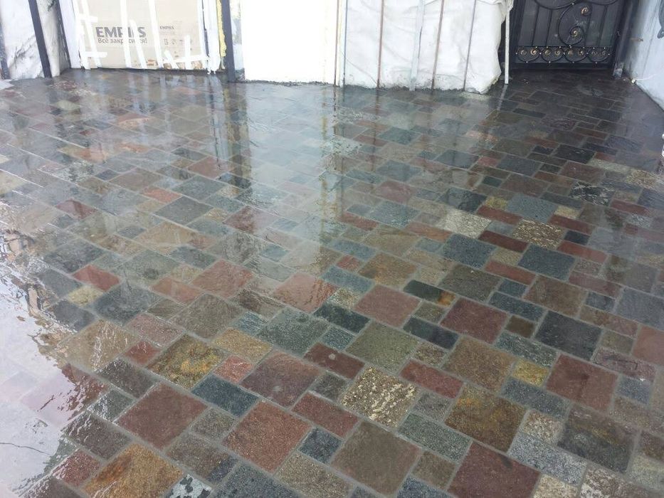 Плитняк разных видов