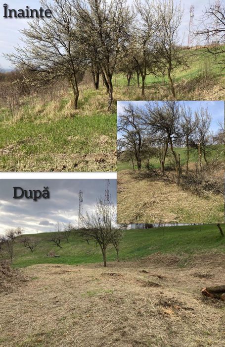 Curatare si defrisari terenuri, amenanjare livezi, garduri etc