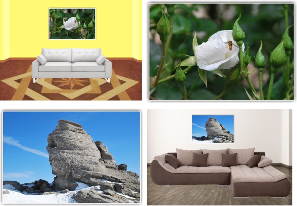 Tablouri Canvas 40x60 cm