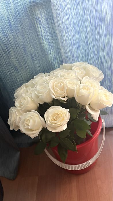Розы букет цветы