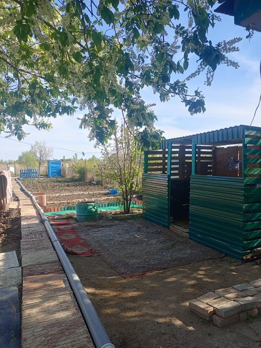 Продам дачу в городе Алга в 1 коллективе рядом речка