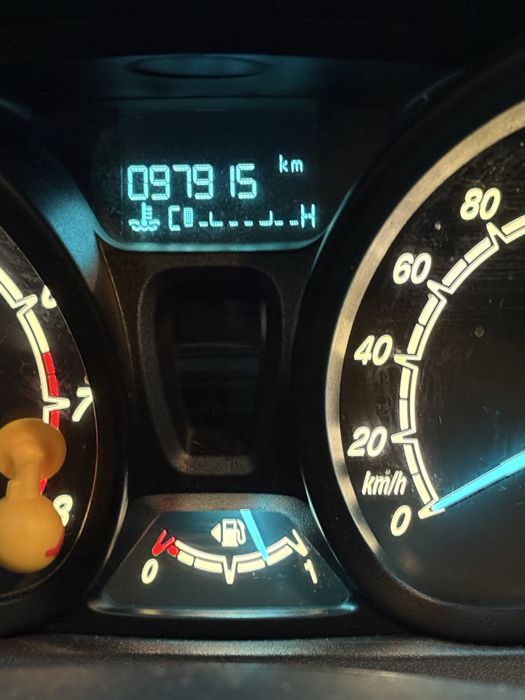 Vand Ford Fiesta