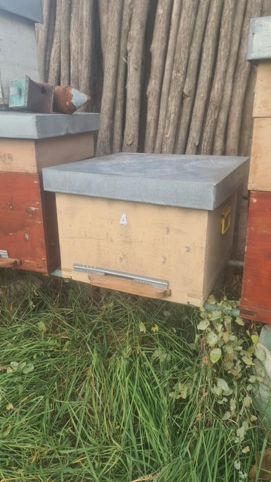 Vand lazi stupi 12 rame