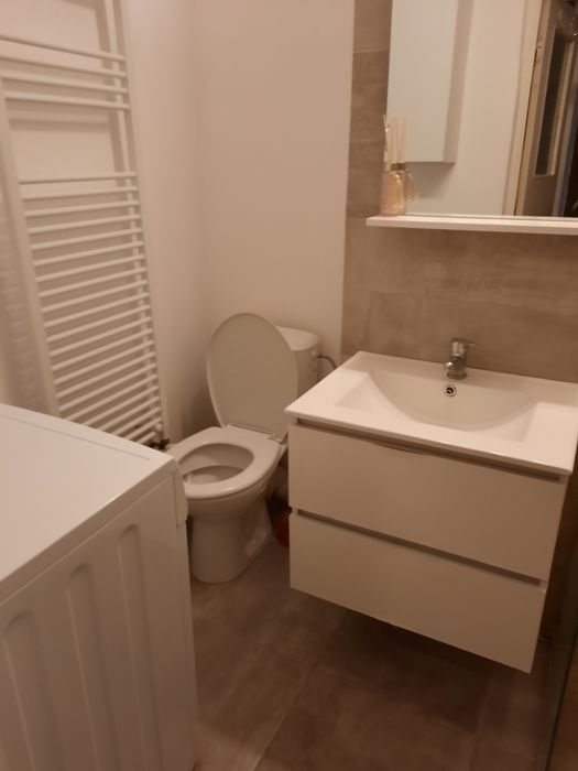 Apartament 1 camera de inchiriat