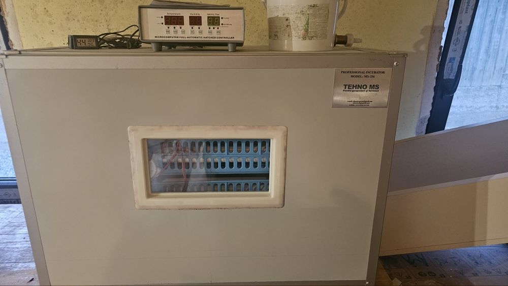Incubator,clocitoare tehno ms256