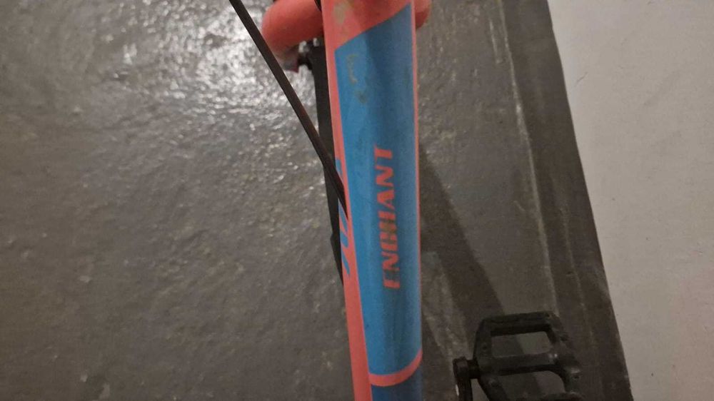 Детский велосипед Liv Enchant 20