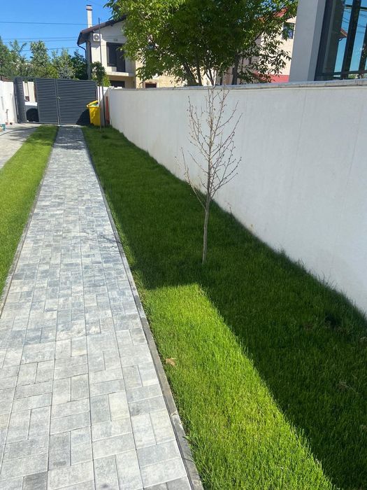 Servicii Profesionale pentru Curtea Ta de Vis!