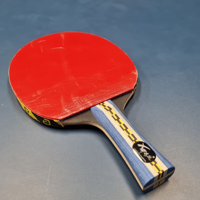 Paleta tenis de masa pe bucăți