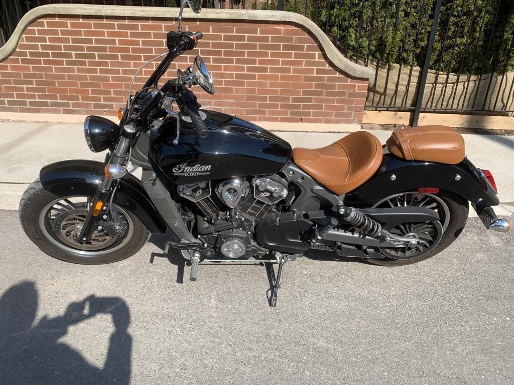 olx indian scout